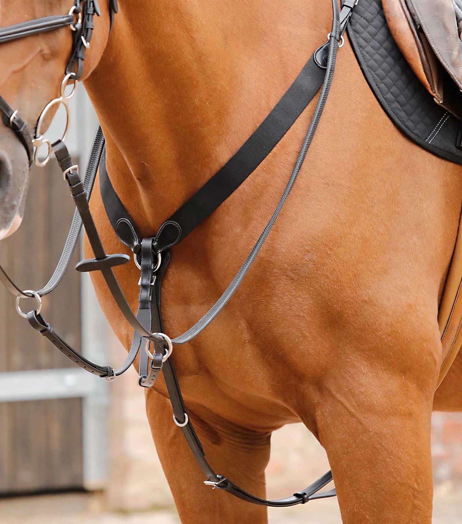 Premier Equine Baressa Elastic Jumping Breastplate - Nags Essentials