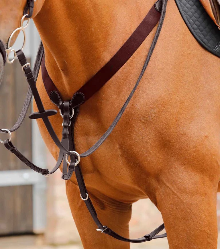 Premier Equine Baressa Elastic Jumping Breastplate - Nags Essentials