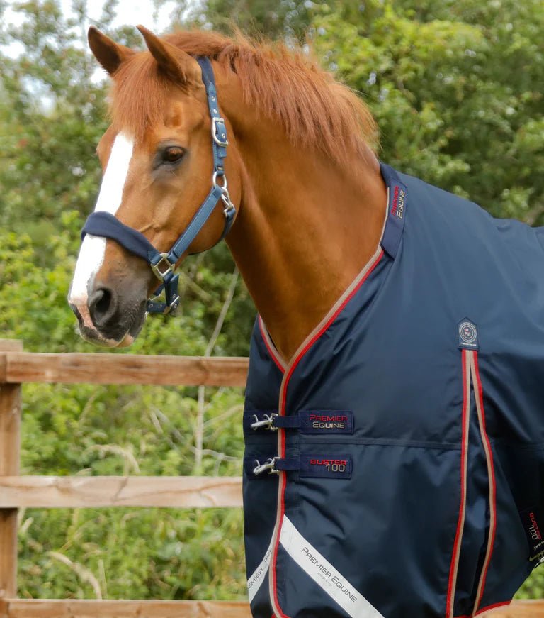 Premier Equine Buster 100g Turnout Rug with Snug-Fit Neck Cover - Nags Essentials