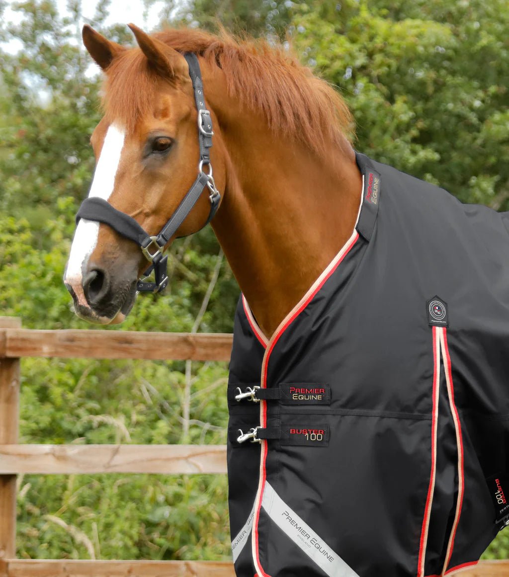 Premier Equine Buster 100g Turnout Rug with Snug-Fit Neck Cover - Nags Essentials
