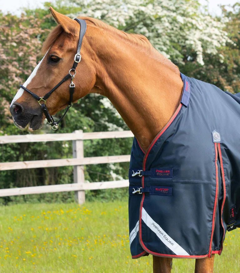 Premier Equine Buster 150g Turnout Rug with Classic Neck Cover - Nags Essentials
