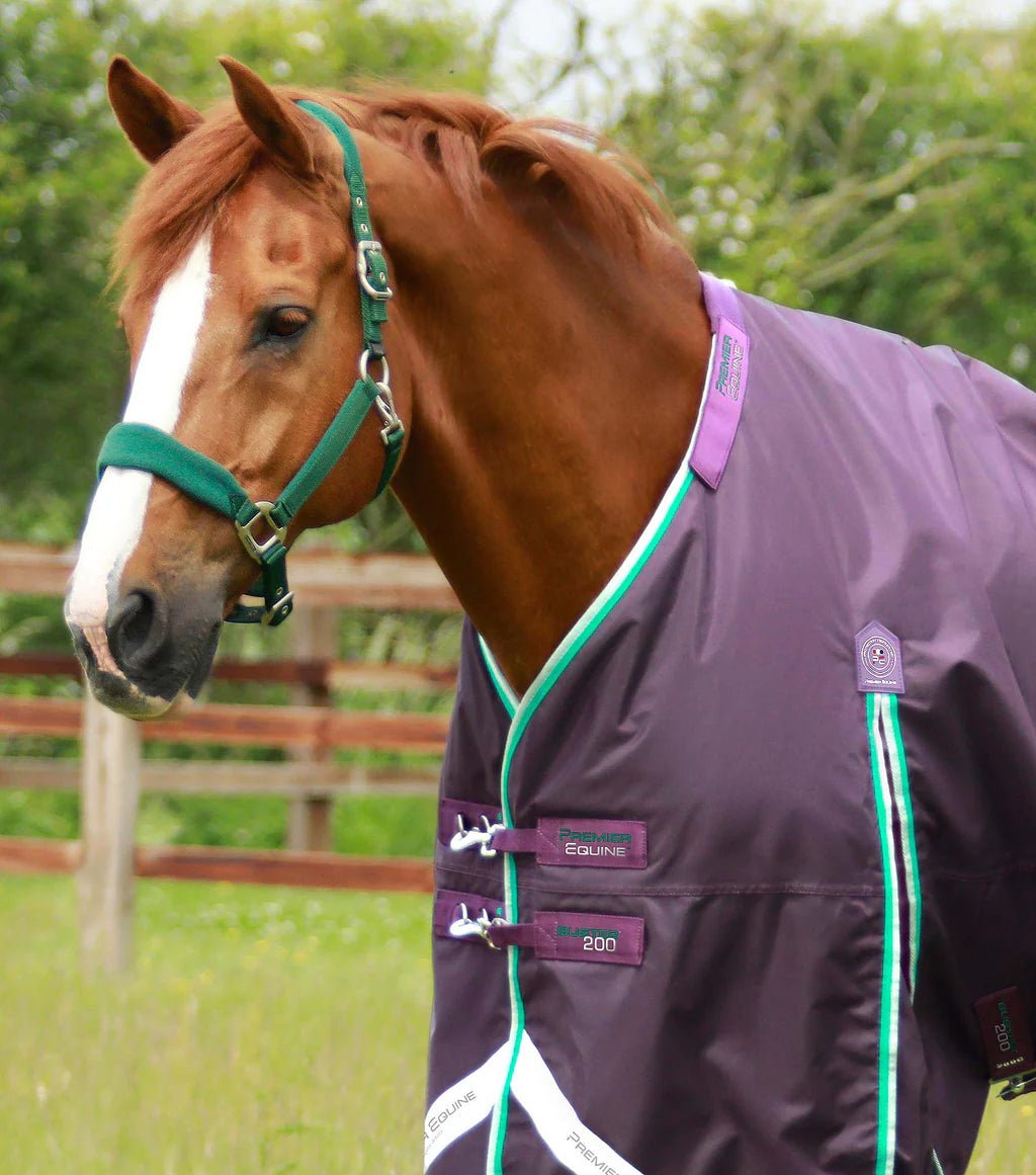 Premier Equine Buster 200g Turnout Rug with Snug-Fit Neck Cover - Nags Essentials