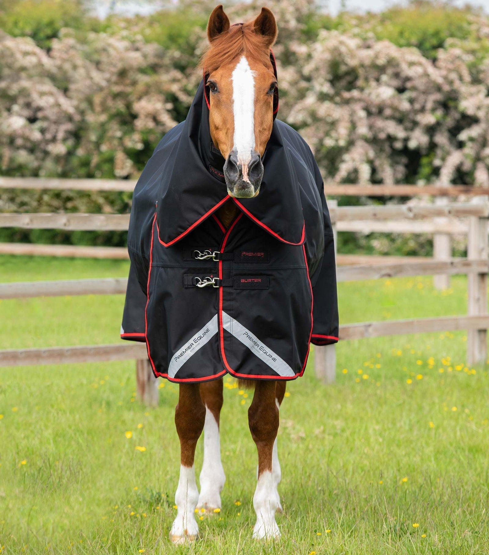 Premier Equine Buster 250g Turnout Rug with Classic Neck Cover - Nags Essentials