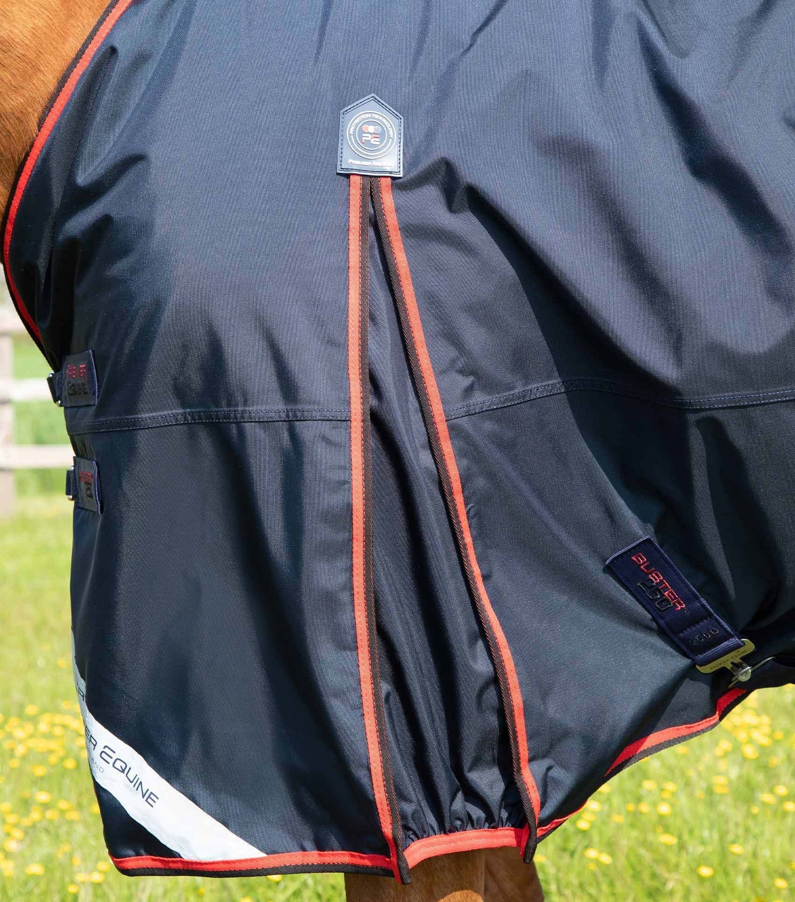 Premier Equine Buster 250g Turnout Rug with Classic Neck Cover - Nags Essentials