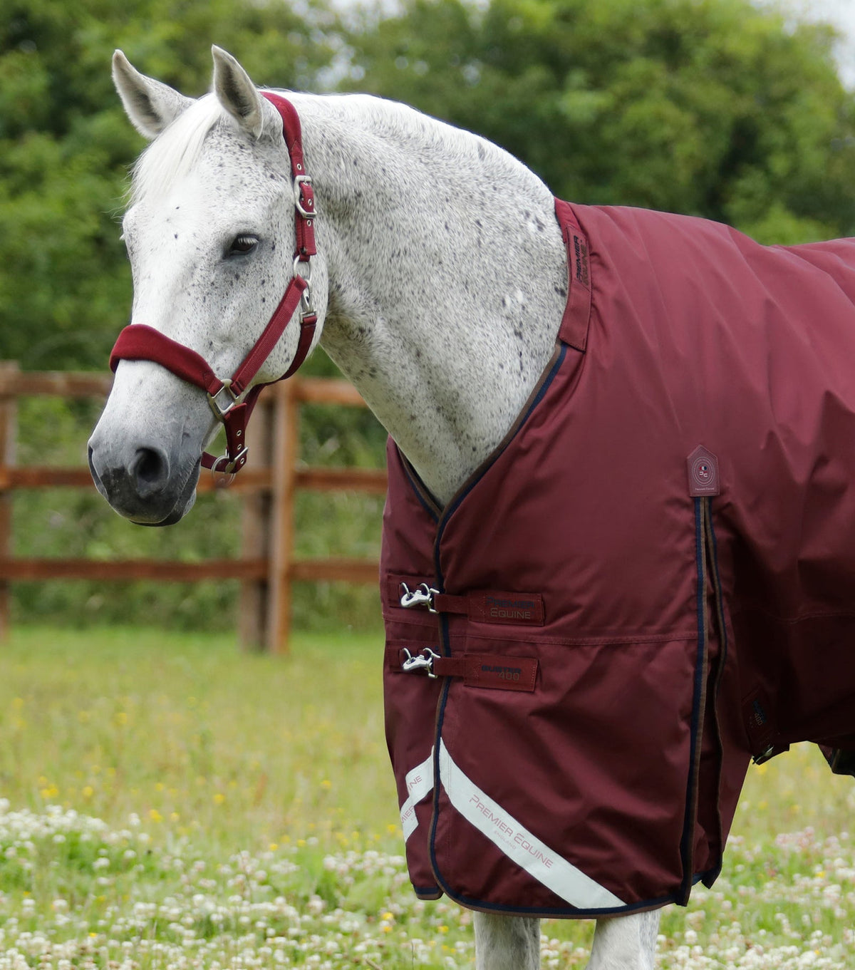Premier Equine Buster 400g Turnout Rug with Snug-Fit Neck Cover - Nags Essentials