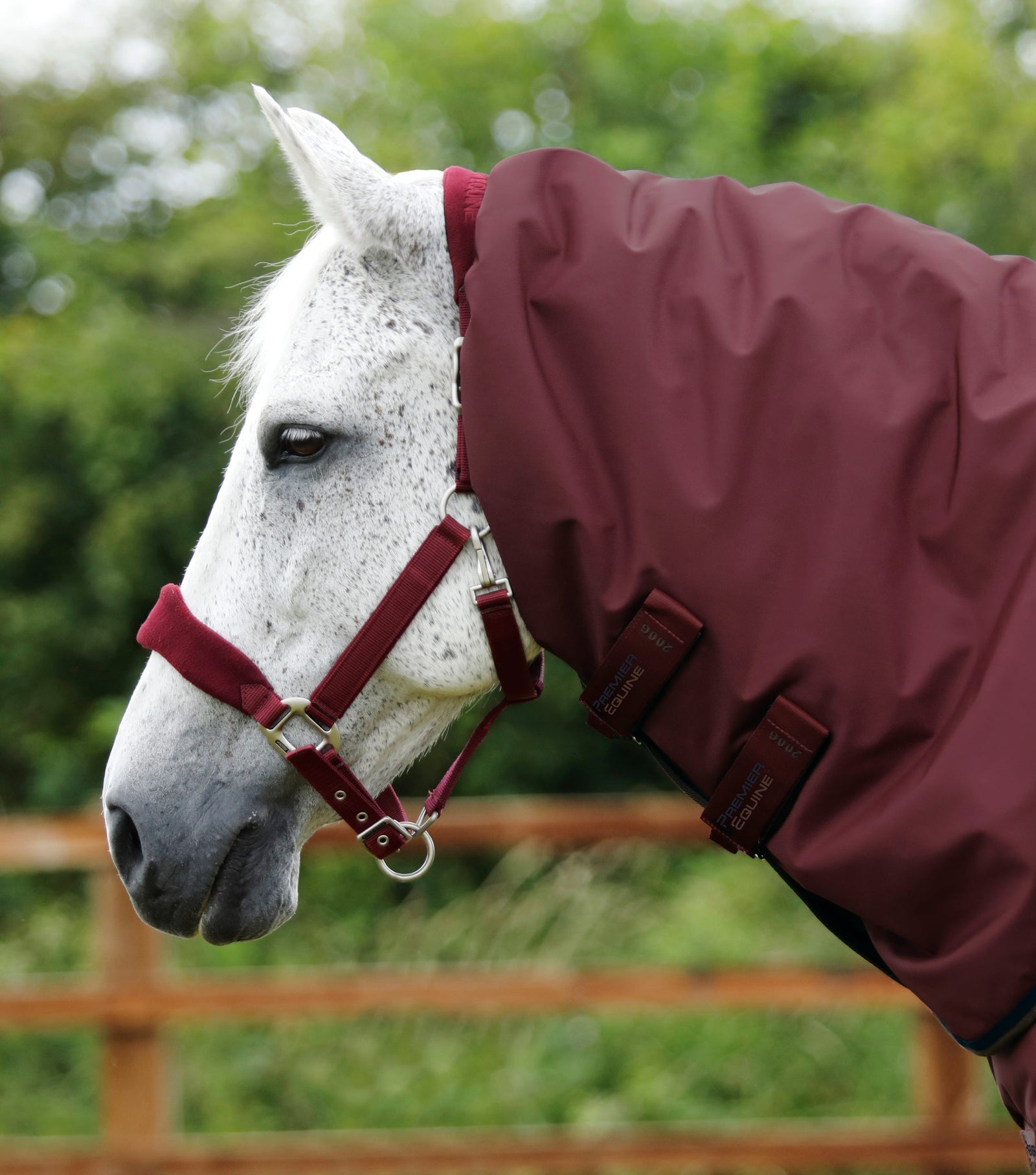 Premier Equine Buster 400g Turnout Rug with Snug-Fit Neck Cover - Nags Essentials