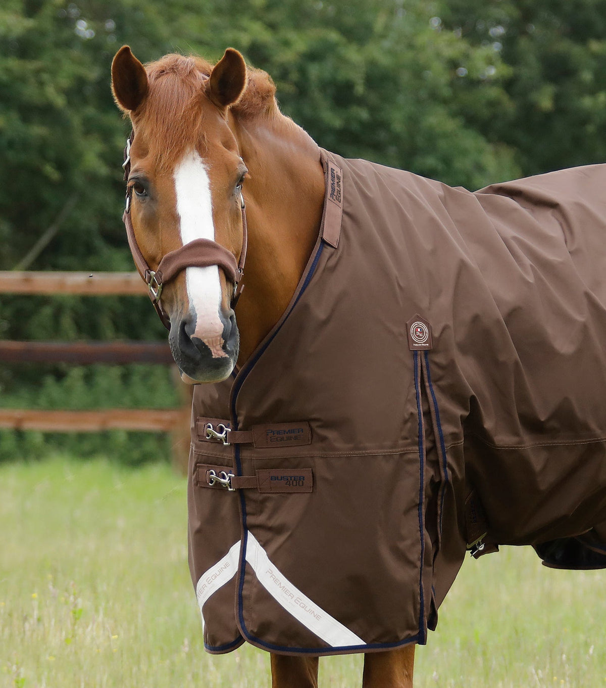 Premier Equine Buster 400g Turnout Rug with Snug-Fit Neck Cover - Nags Essentials