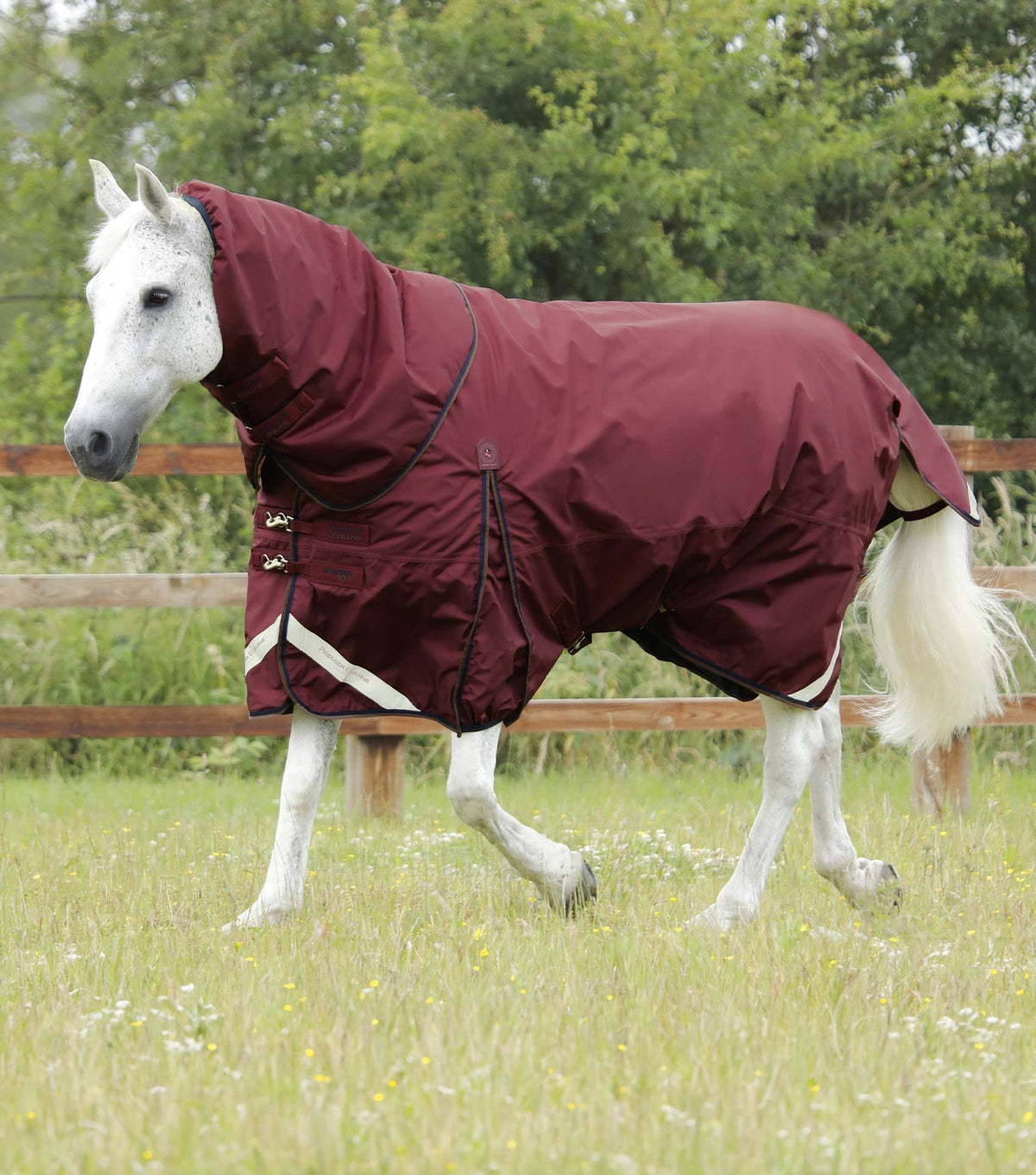 Premier Equine Buster 400g Turnout Rug with Snug-Fit Neck Cover - Nags Essentials