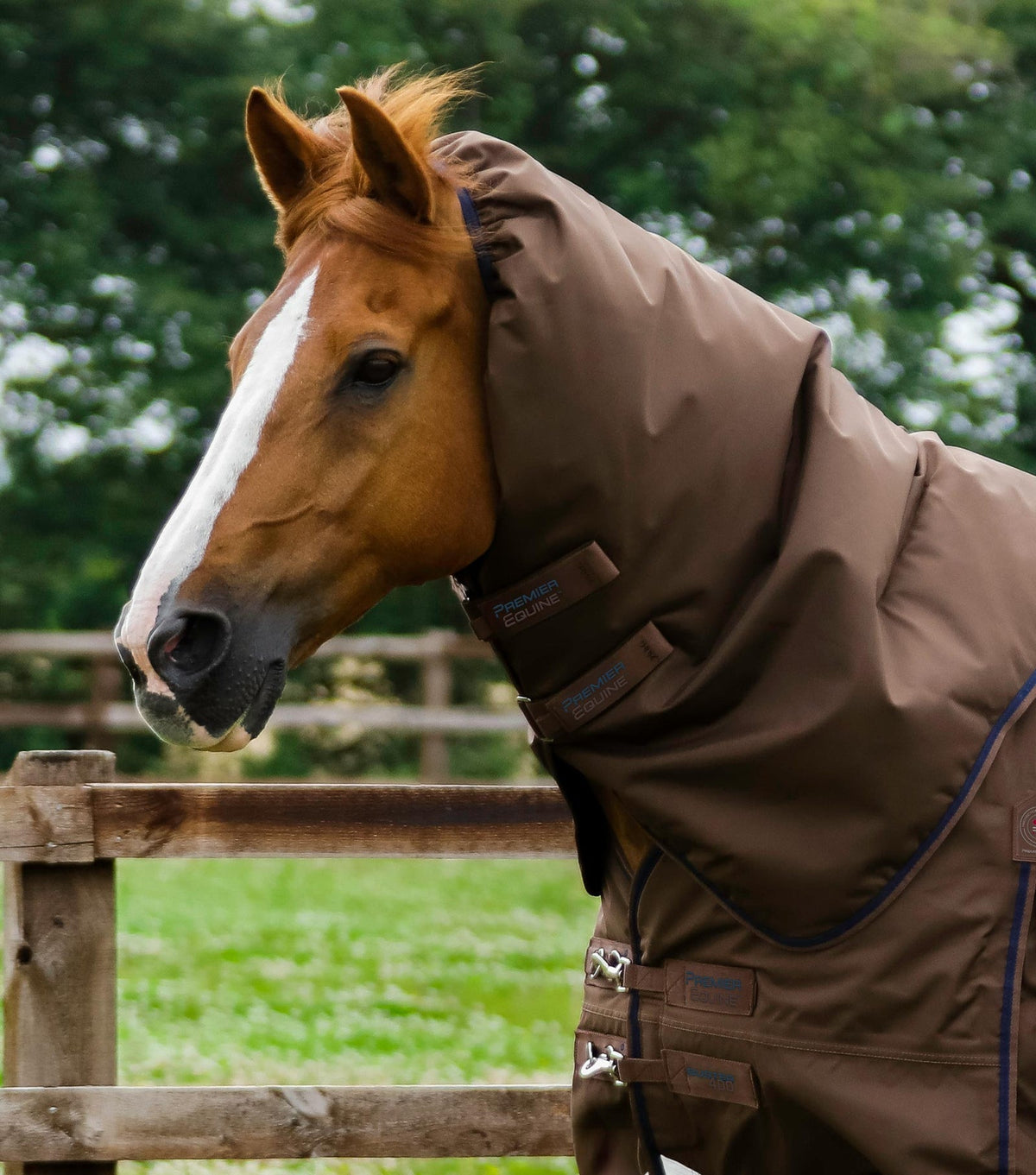 Premier Equine Buster 400g Turnout Rug with Snug-Fit Neck Cover - Nags Essentials