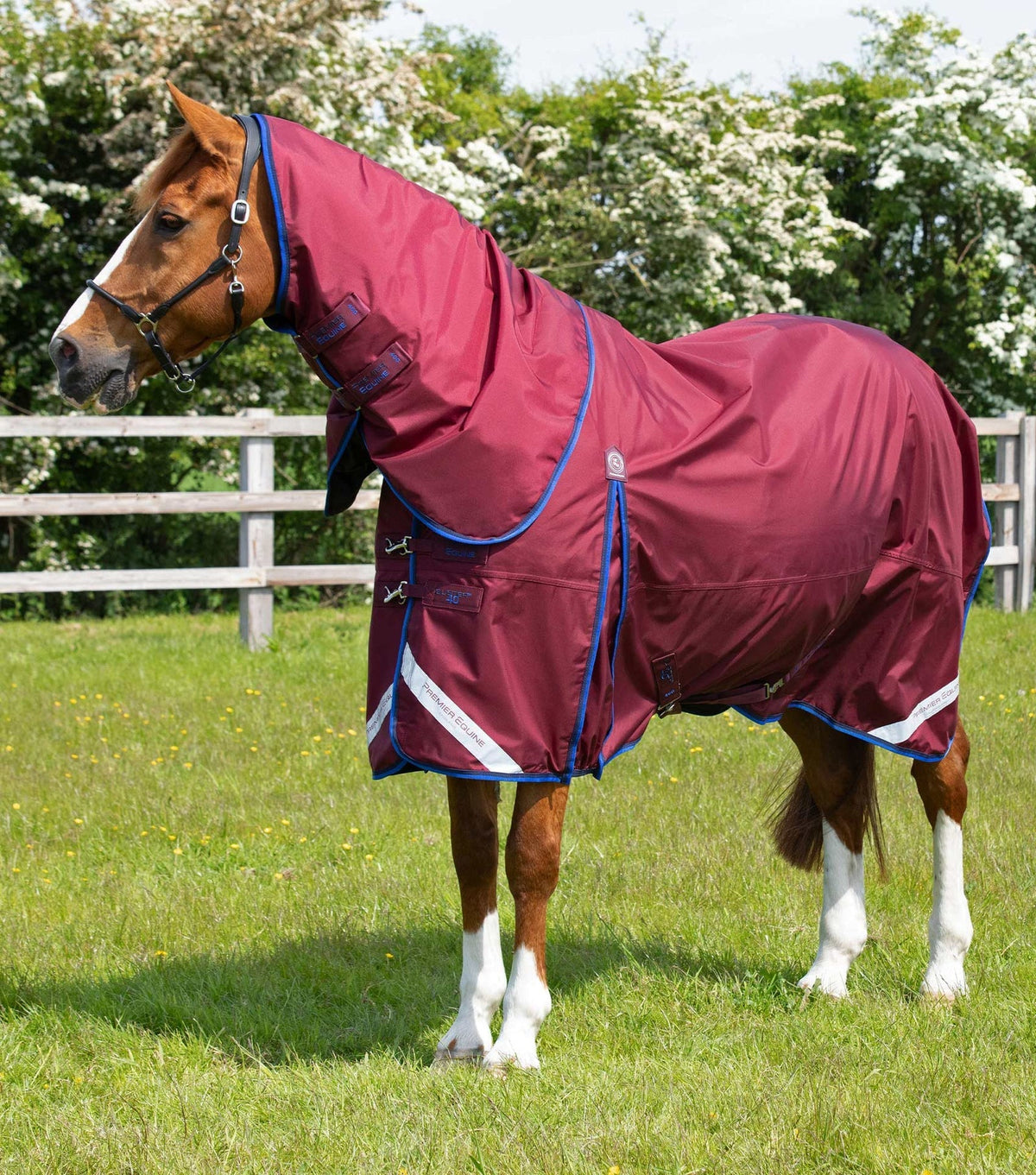 Premier Equine Buster 40g Turnout Rug with Classic Neck Cover - Nags Essentials