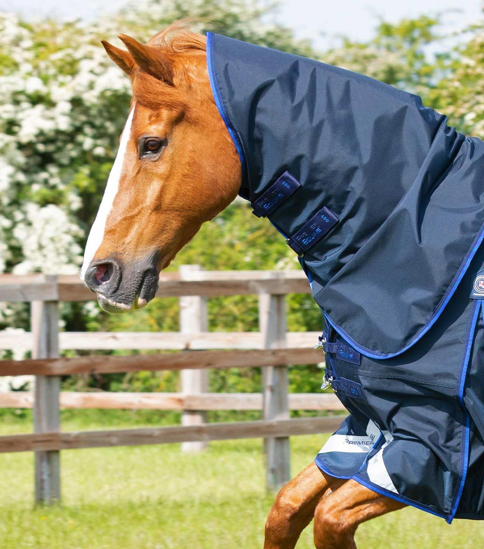 Premier Equine Buster 40g Turnout Rug with Classic Neck Cover - Nags Essentials