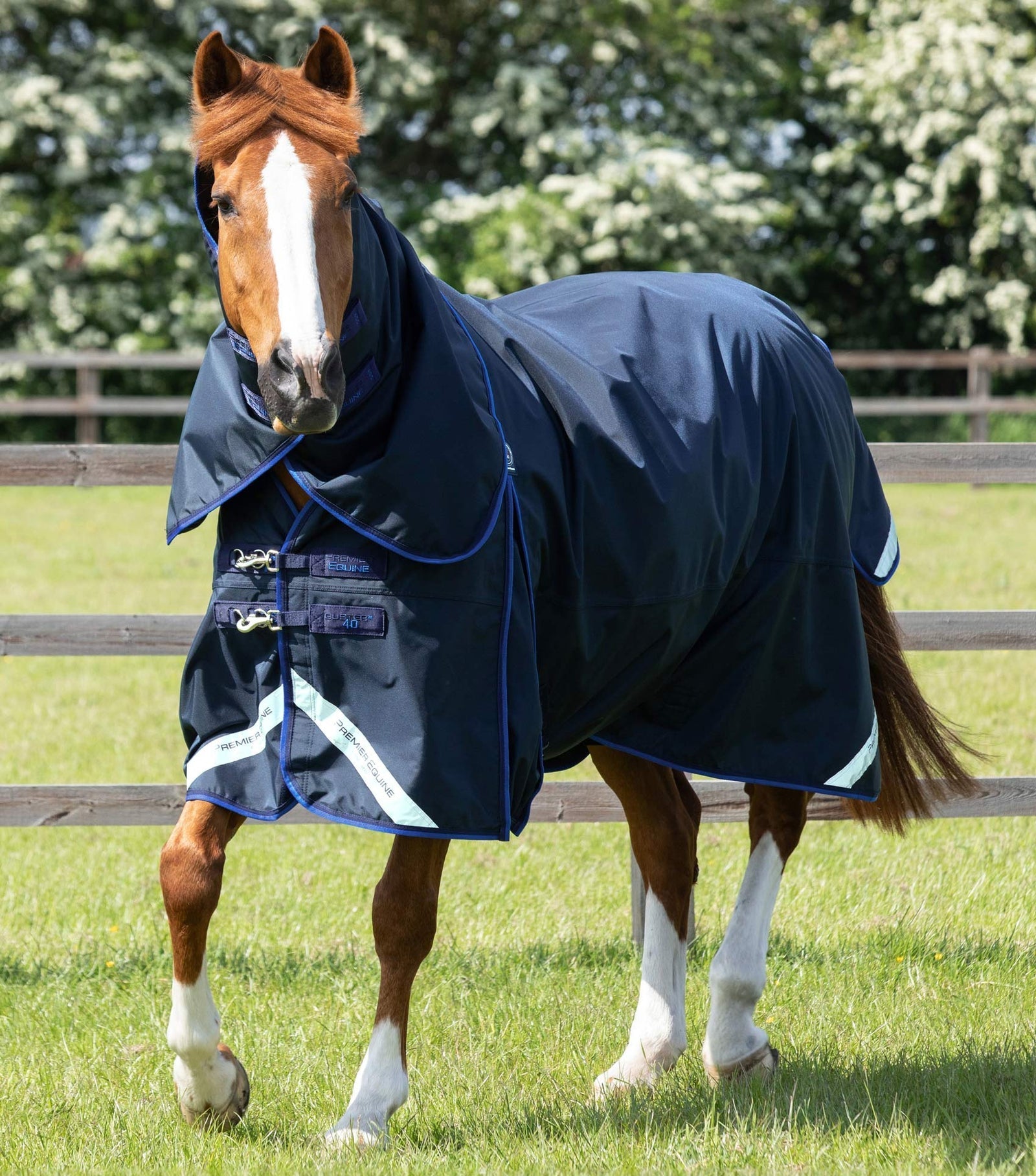 Premier Equine Buster 40g Turnout Rug with Classic Neck Cover - Nags Essentials