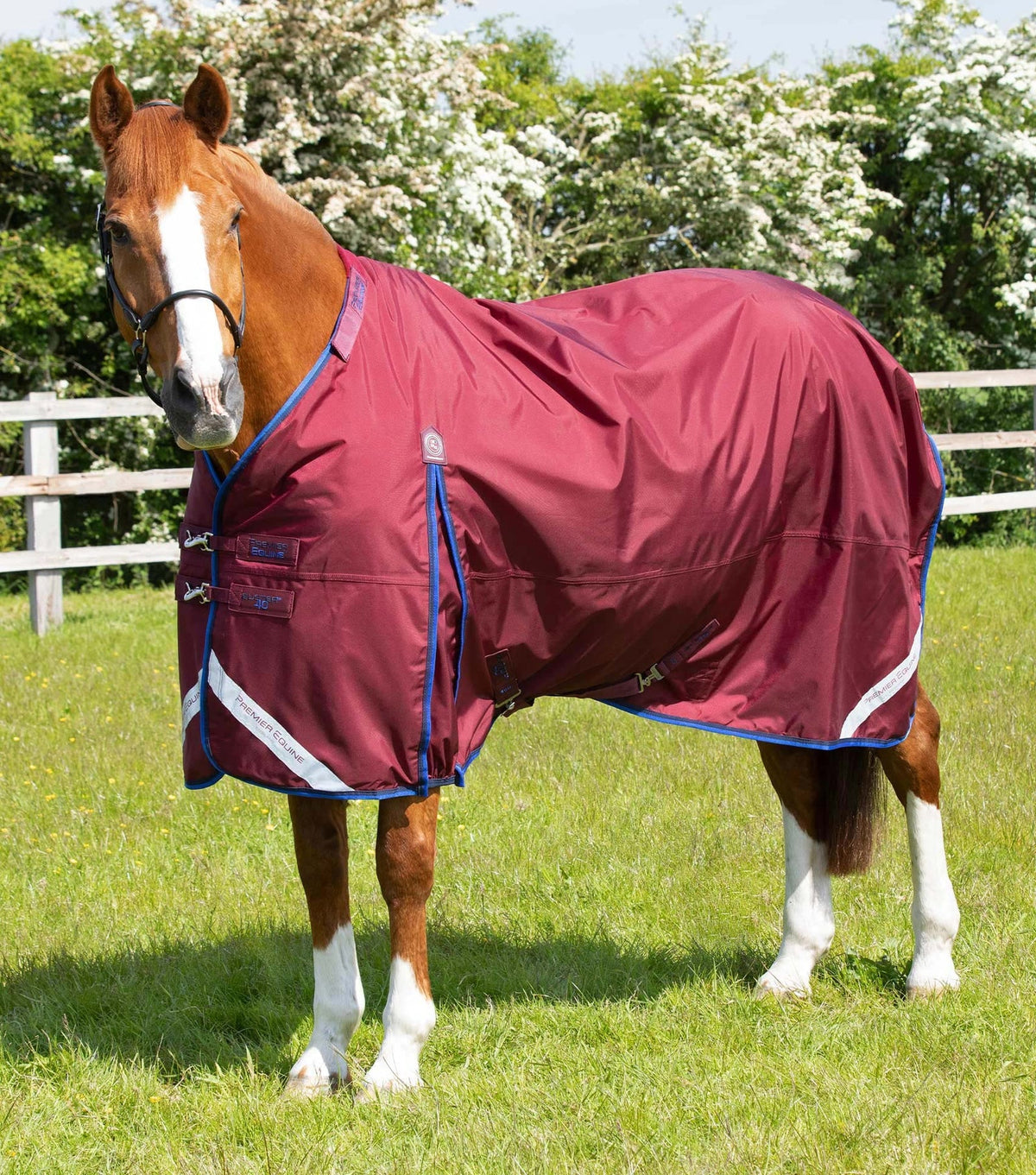 Premier Equine Buster 40g Turnout Rug with Classic Neck Cover - Nags Essentials