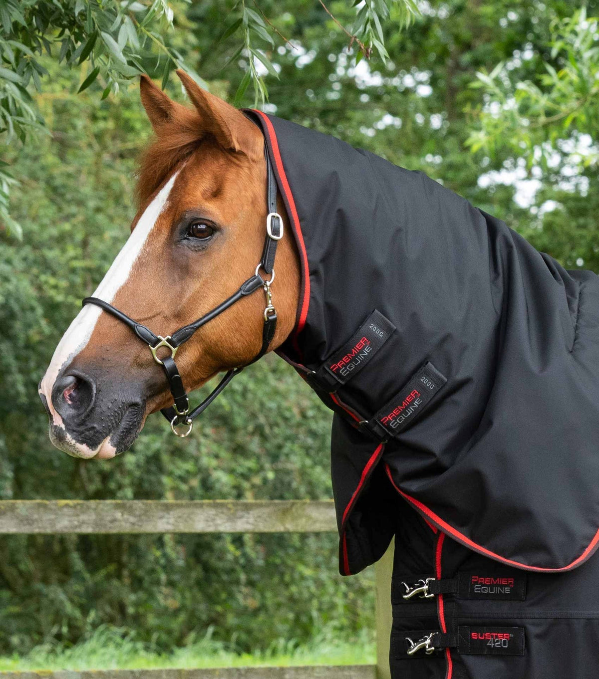 Premier Equine Buster 420g Turnout Rug with Classic Neck Cover - Nags Essentials