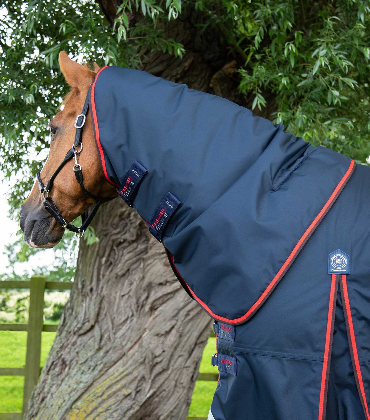 Premier Equine Buster 420g Turnout Rug with Classic Neck Cover - Nags Essentials