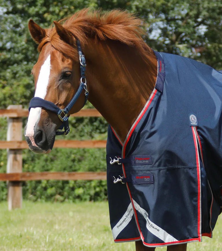 Premier Equine Buster 50g Turnout Rug with Snug-Fit Neck Cover - Nags Essentials