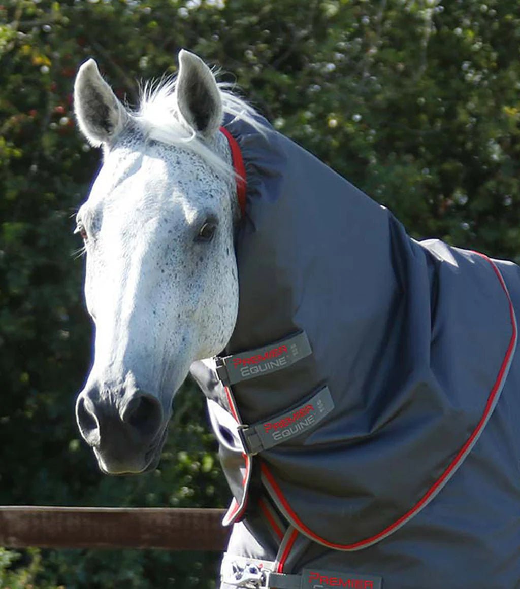 Premier Equine Buster 50g Turnout Rug with Snug-Fit Neck Cover - Nags Essentials