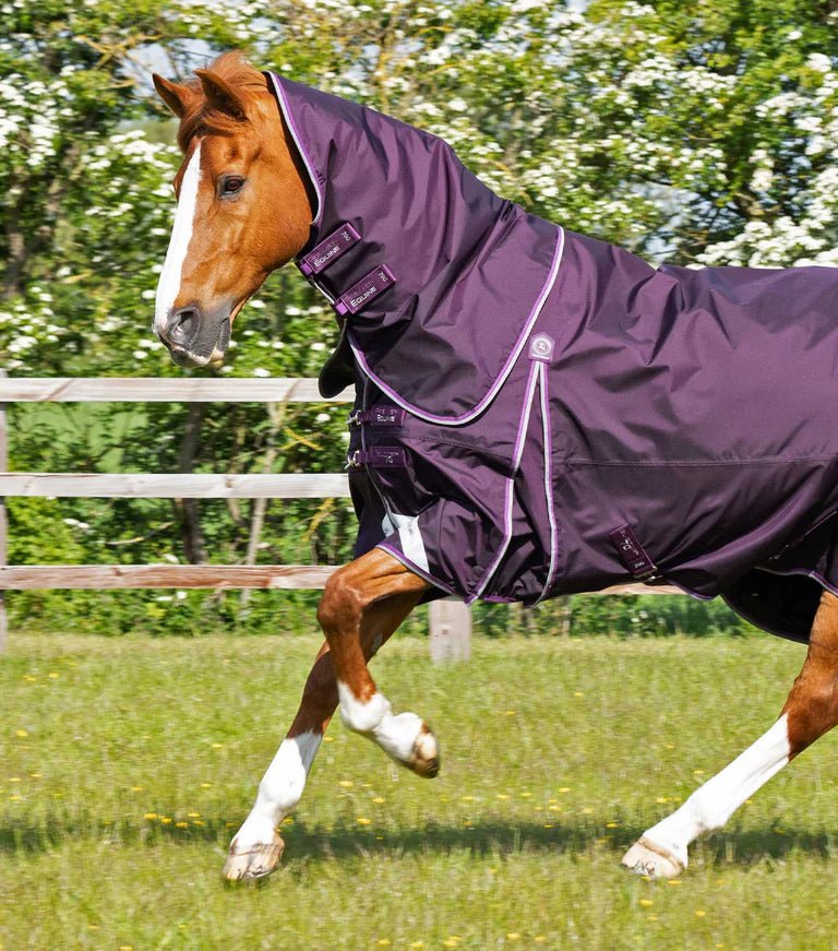 Premier Equine Buster 70g Turnout Rug with Classic Neck Cover - Nags Essentials