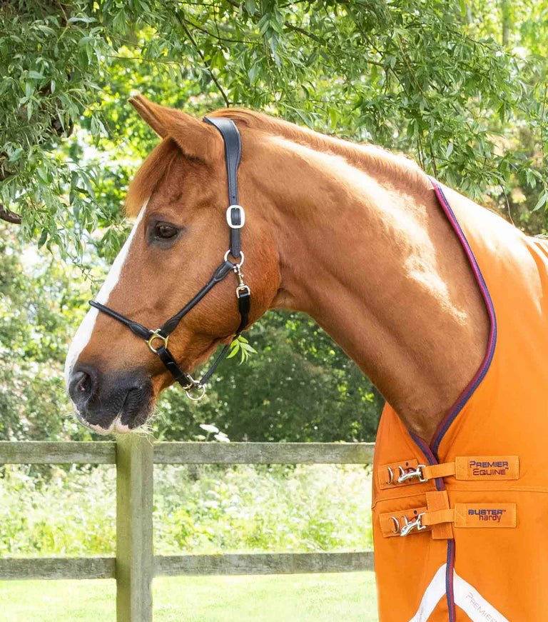 Premier Equine Buster Hardy 200g Half Neck Turnout Rug - Nags Essentials