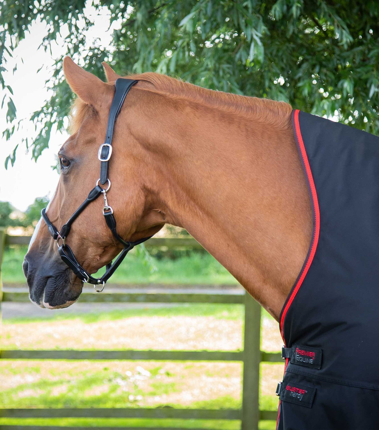 Premier Equine Buster Hardy 400g Half Neck Turnout Rug - Nags Essentials