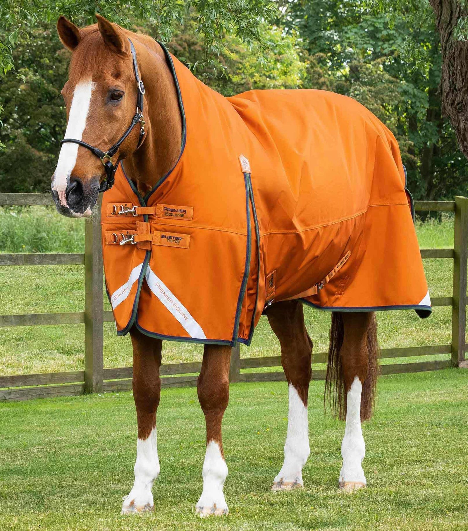 Premier Equine Buster Hardy 400g Half Neck Turnout Rug - Nags Essentials