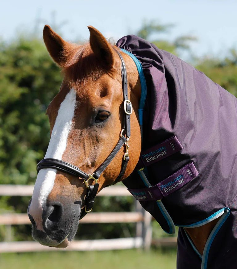 Premier Equine Buster Storm 100g Combo Turnout Rug with Snug-Fit Neck Cover - Nags Essentials