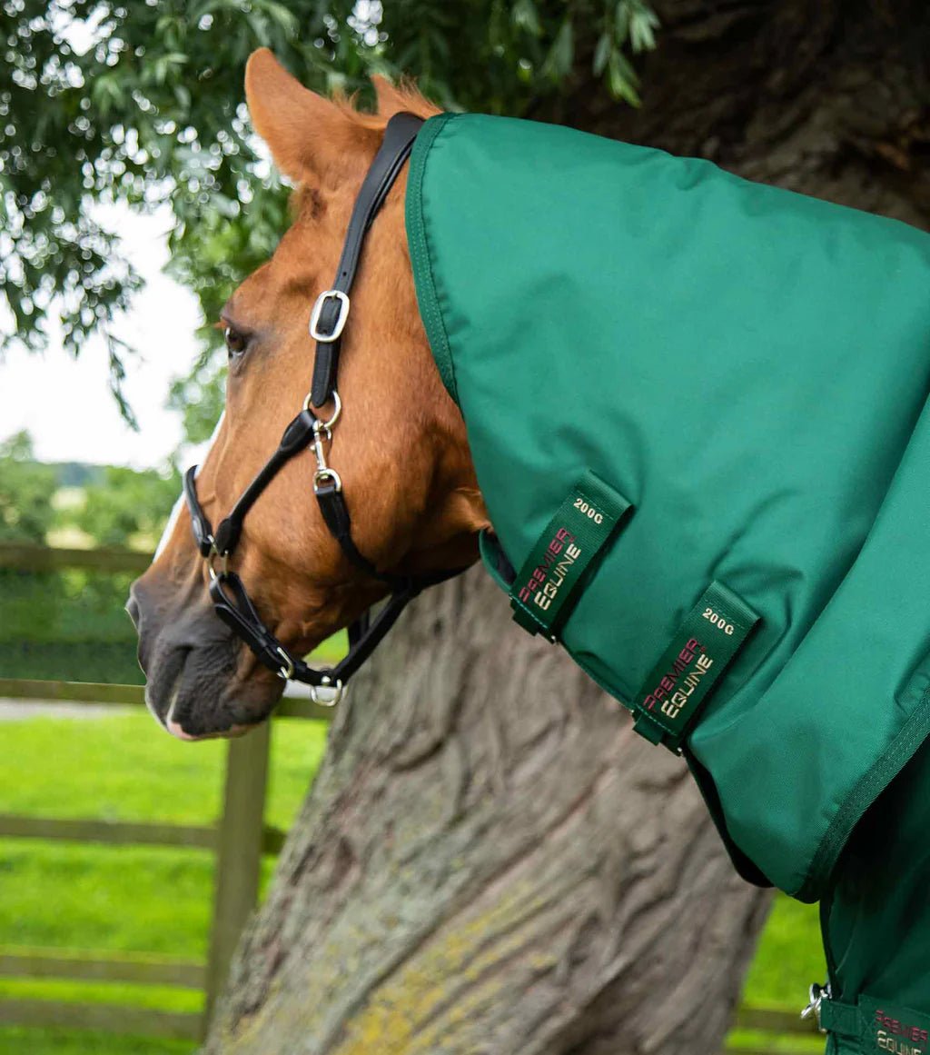 Premier Equine Buster Storm 220g Combo Turnout Rug with Classic Neck - Nags Essentials