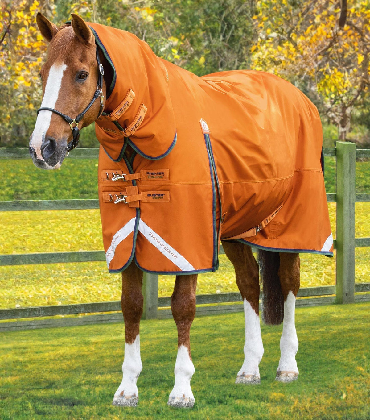 Premier Equine Buster Storm 400g Combo Turnout Rug with Classic Neck - Nags Essentials