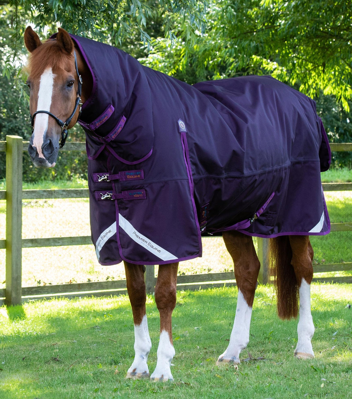 Premier Equine Buster Storm 420g Combo Turnout Rug with Classic Neck - Nags Essentials