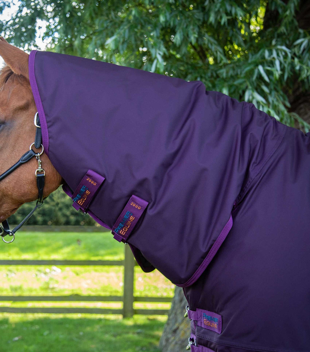 Premier Equine Buster Storm 420g Combo Turnout Rug with Classic Neck - Nags Essentials