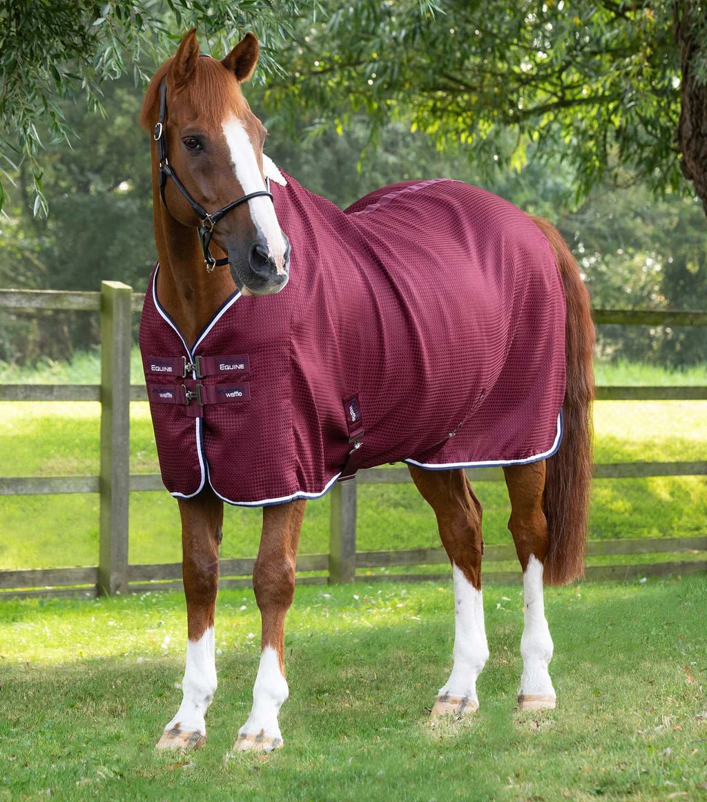 Premier Equine Buster Waffle Horse Cooler Rug - Nags Essentials