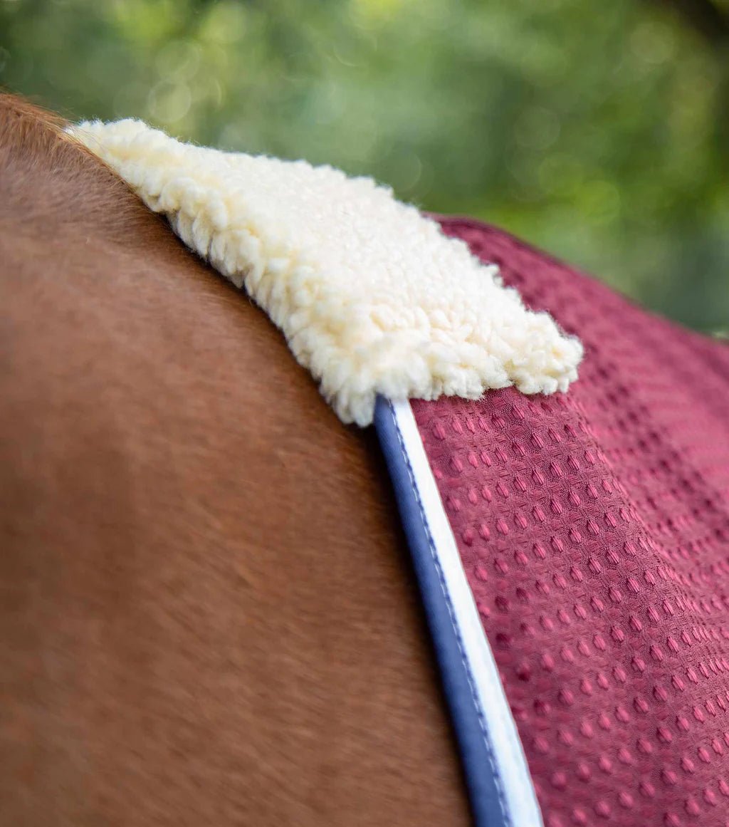 Premier Equine Buster Waffle Horse Cooler Rug - Nags Essentials
