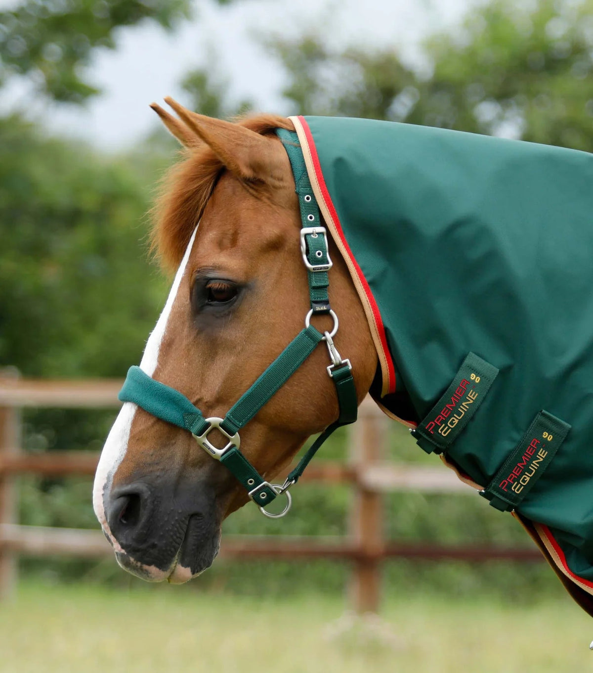 Premier Equine Buster Zero Turnout Rug with Classic Neck Cover - Nags Essentials
