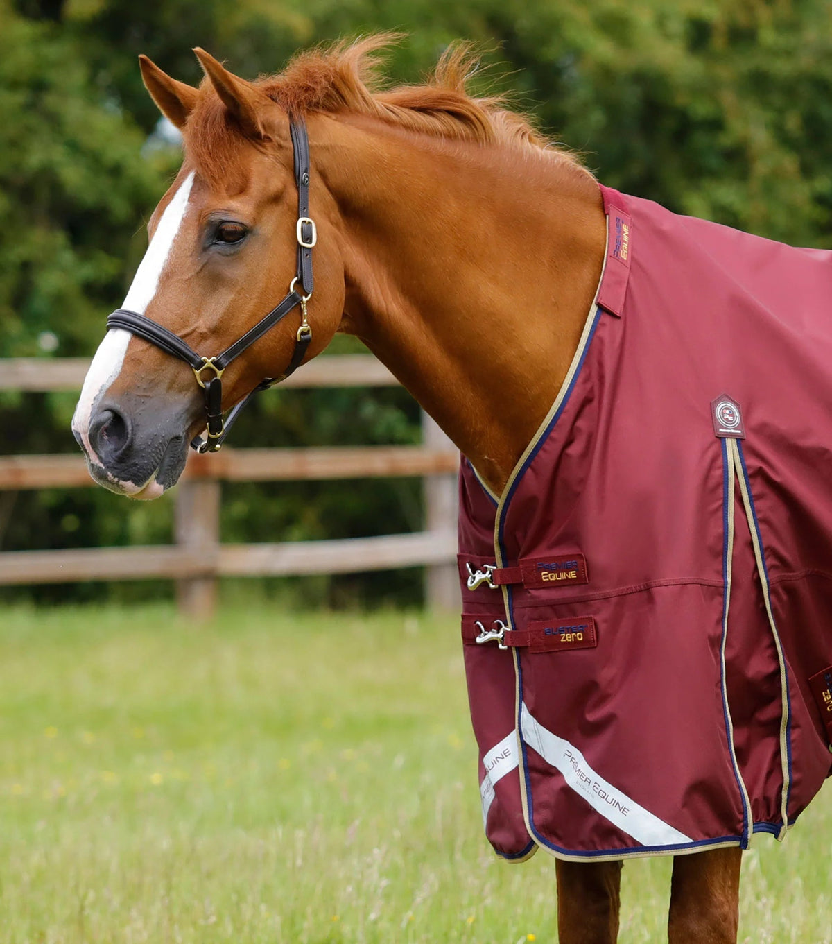 Premier Equine Buster Zero Turnout Rug with Classic Neck Cover - Nags Essentials