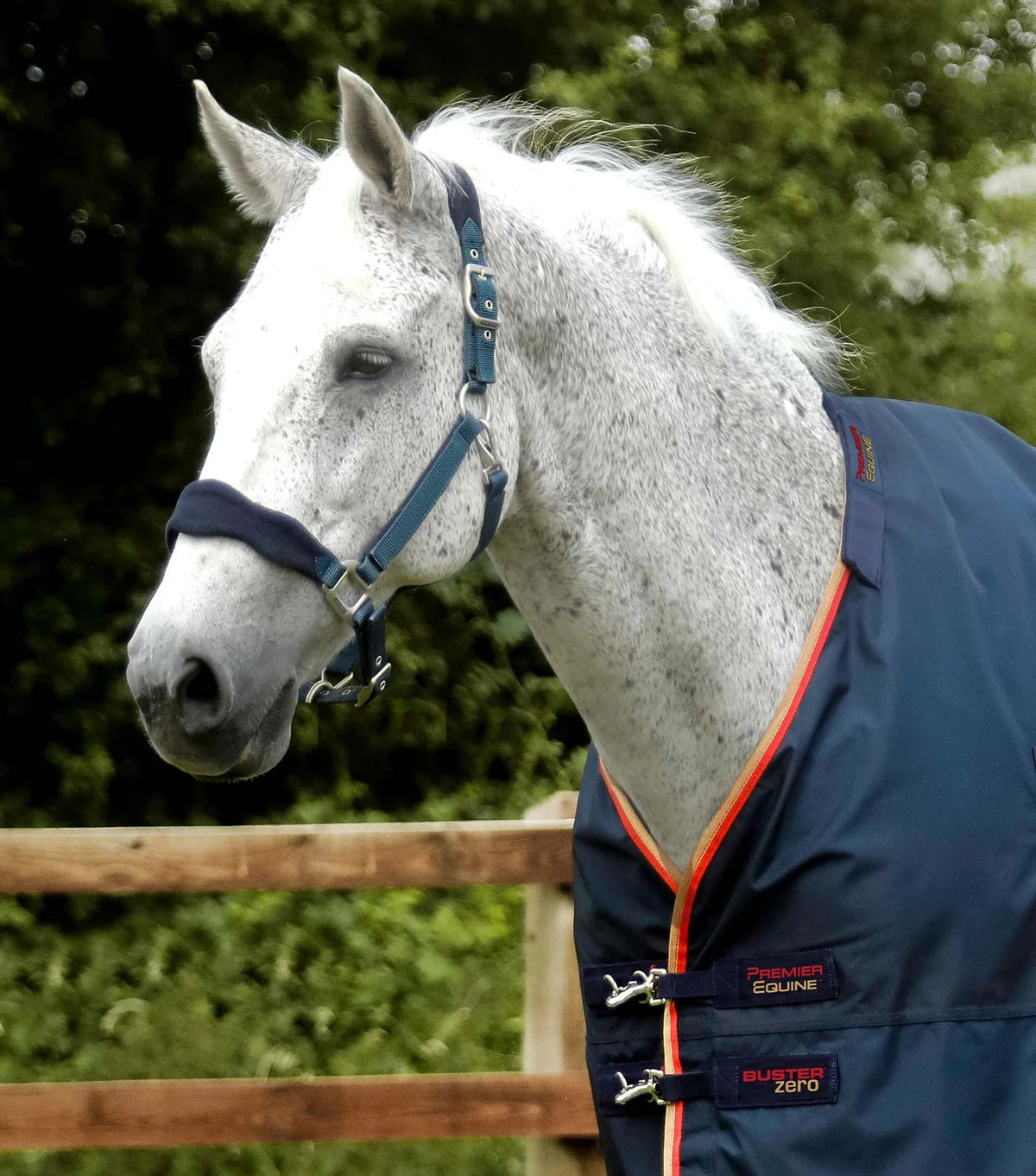 Premier Equine Buster Zero Turnout Rug with Classic Neck Cover - Nags Essentials