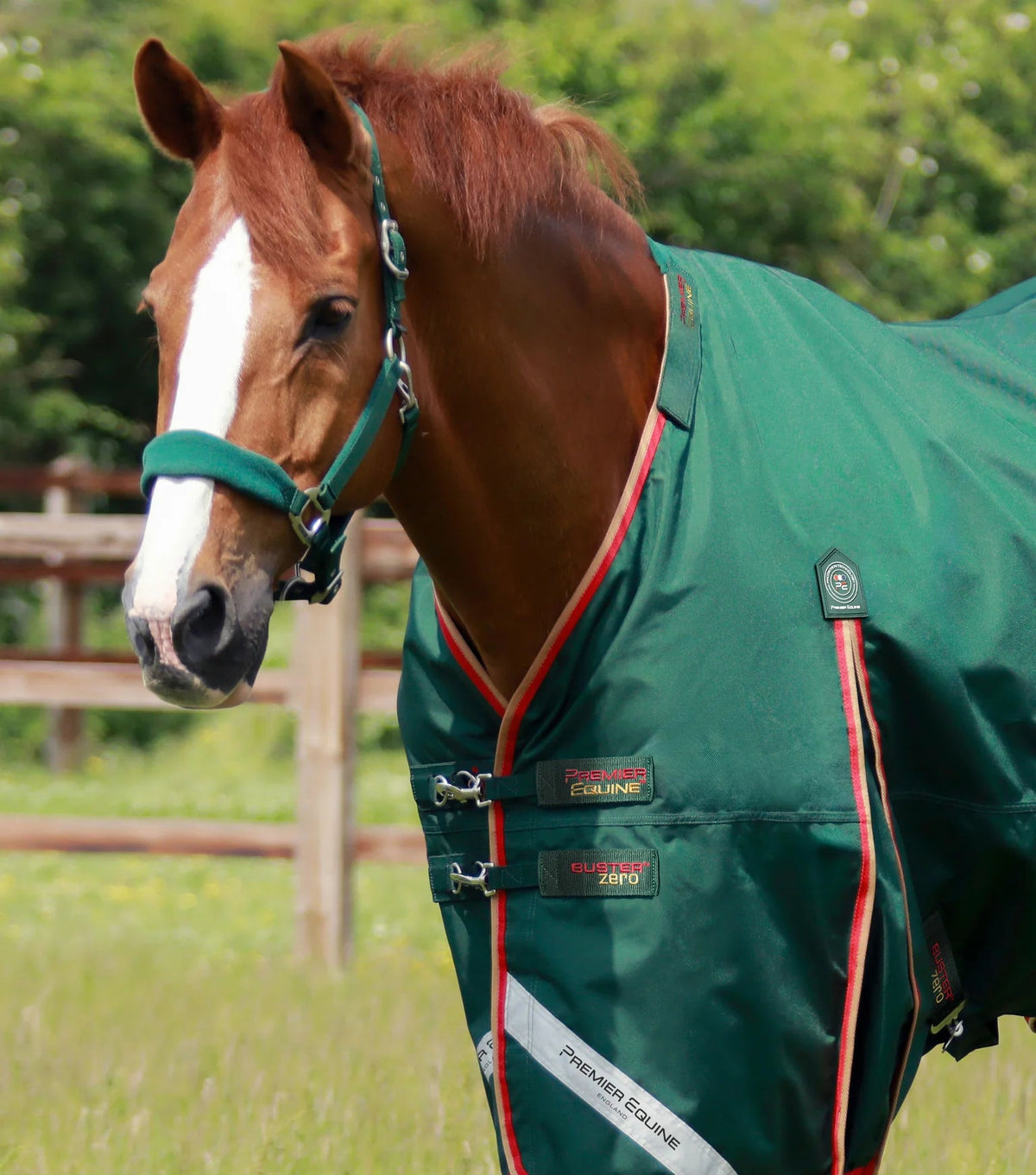 Premier Equine Buster Zero Turnout Rug with Classic Neck Cover - Nags Essentials