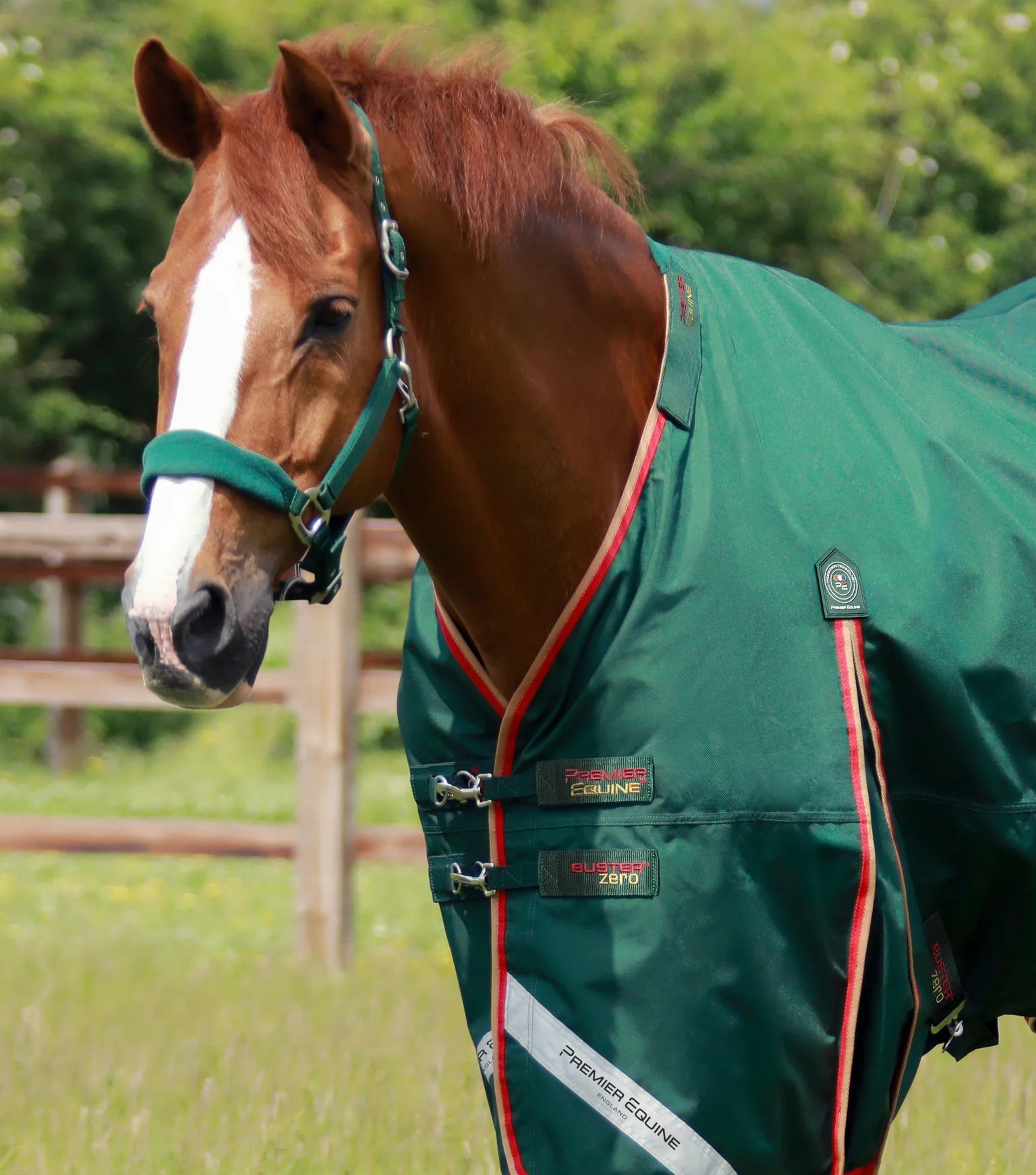 Premier Equine Buster Zero Turnout Rug with Classic Neck Cover - Nags Essentials