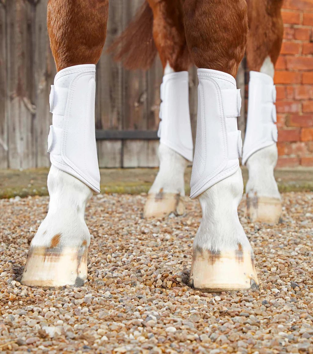 Premier Equine Carbon Air Tech Double Locking Brushing Boots - Nags Essentials