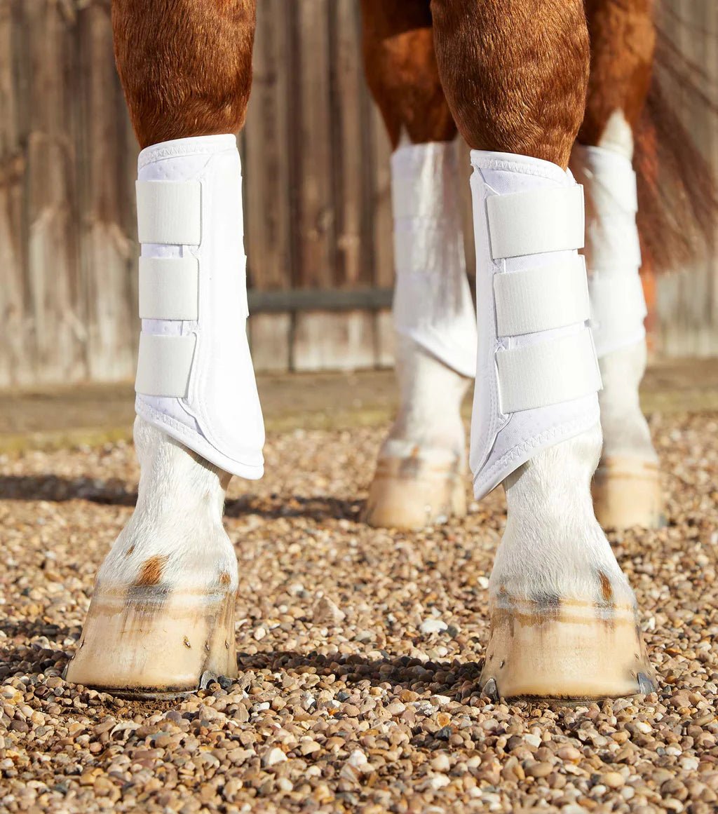 Premier Equine Carbon Air Tech Single Locking Brushing Boots - Nags Essentials