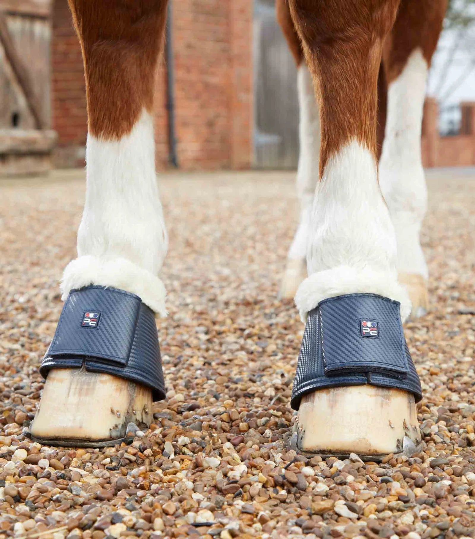 Premier Equine Carbon Tech Techno Wool Over Reach Boots - Nags Essentials