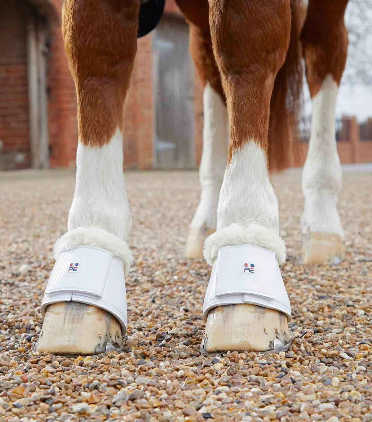 Premier Equine Carbon Tech Techno Wool Over Reach Boots - Nags Essentials
