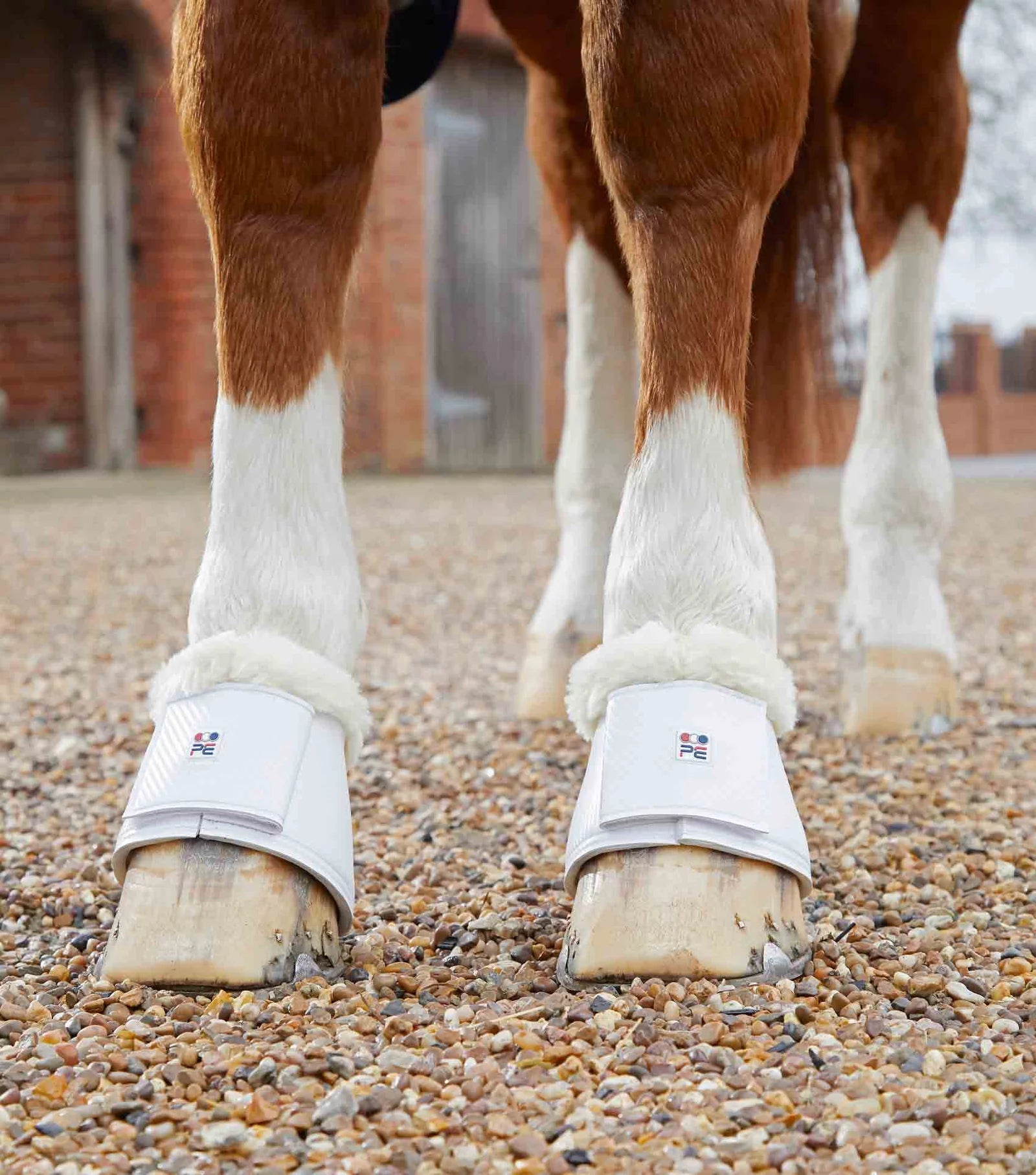 Premier Equine Carbon Tech Techno Wool Over Reach Boots - Nags Essentials