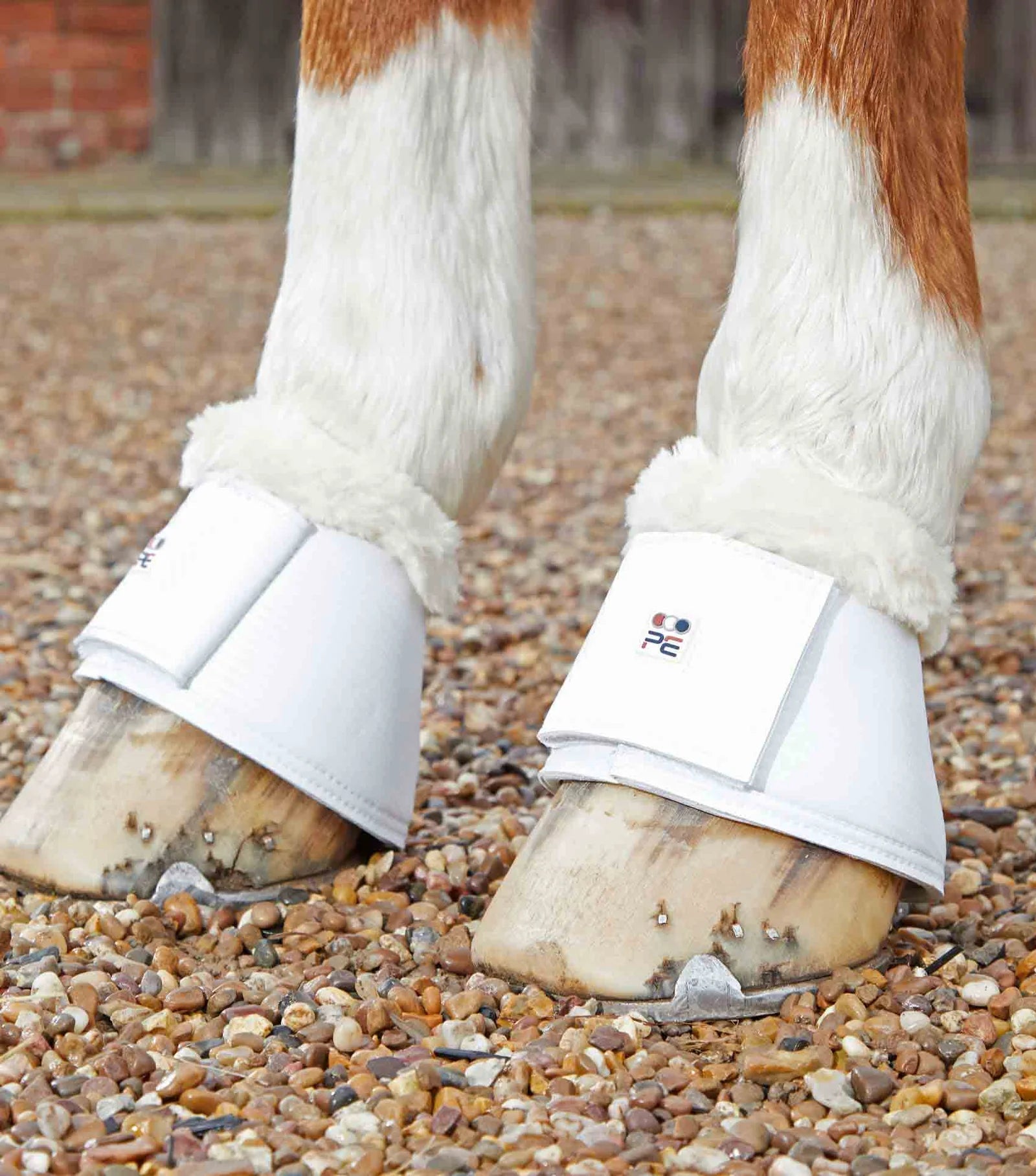 Premier Equine Carbon Tech Techno Wool Over Reach Boots - Nags Essentials