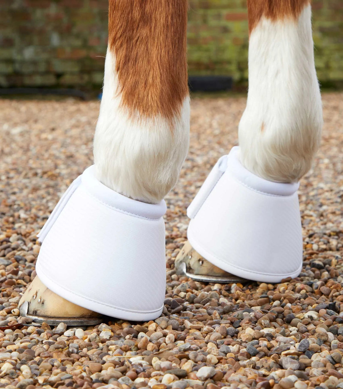 Premier Equine Carbon Wrap Over Reach Boots - Nags Essentials