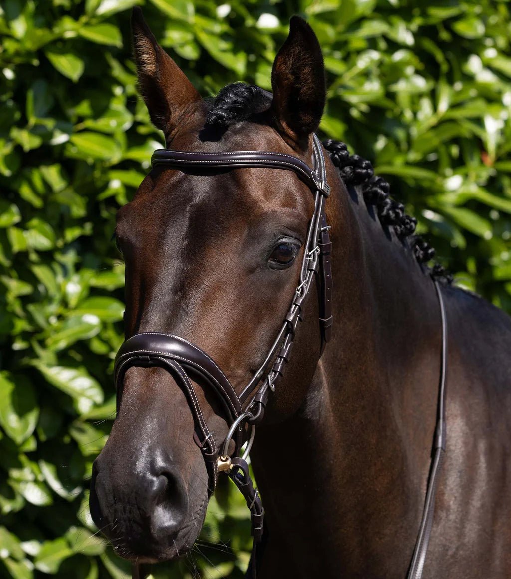 Premier Equine Cassano Snaffle Bridle - Nags Essentials