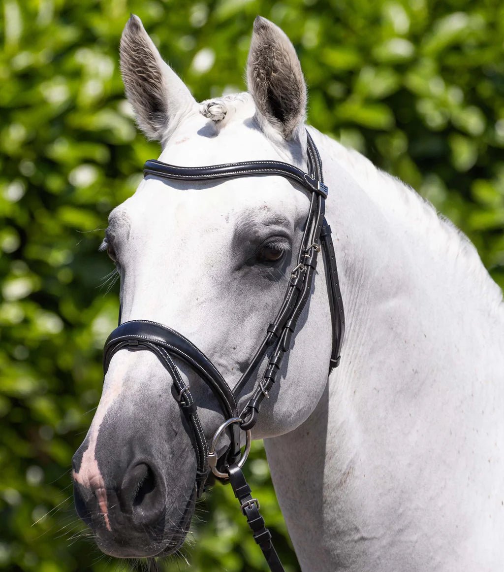 Premier Equine Cassano Snaffle Bridle - Nags Essentials