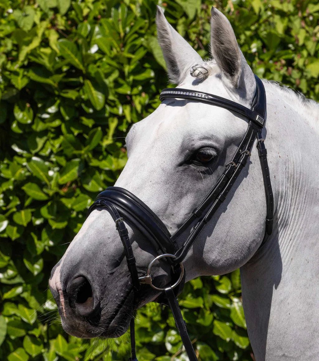 Premier Equine Castello Anatomical Bridle - Nags Essentials