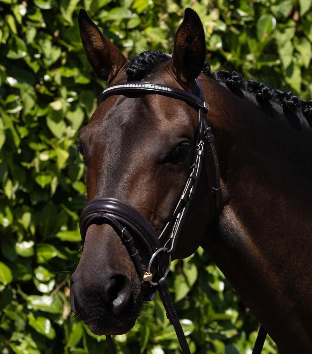 Premier Equine Castello Anatomical Bridle - Nags Essentials