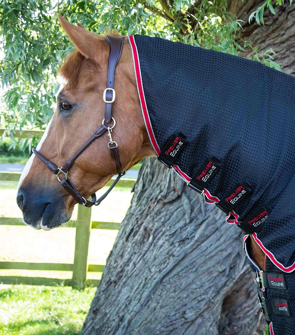 Premier Equine Combo Buster Waffle Horse Cooler Rug - Nags Essentials