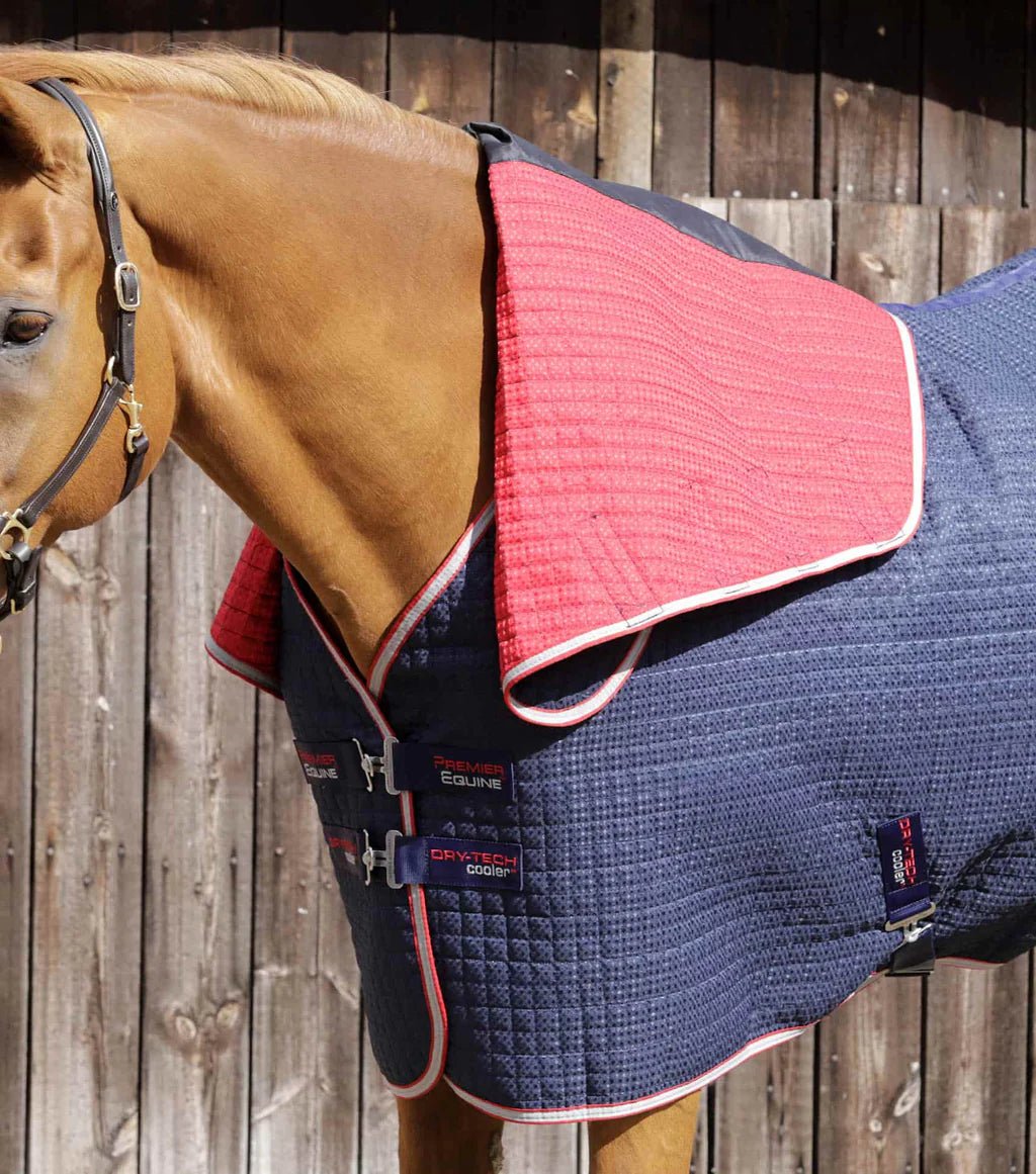 Premier Equine Combo Dry-Tech Horse Cooler Rug - Navy - Nags Essentials